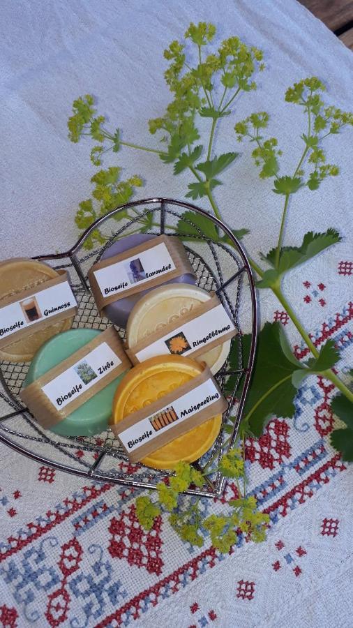 Appartamento Almhaus Tschamutsch *